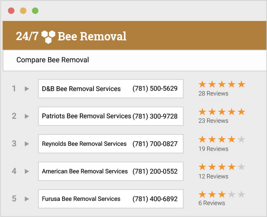 Bee Removal